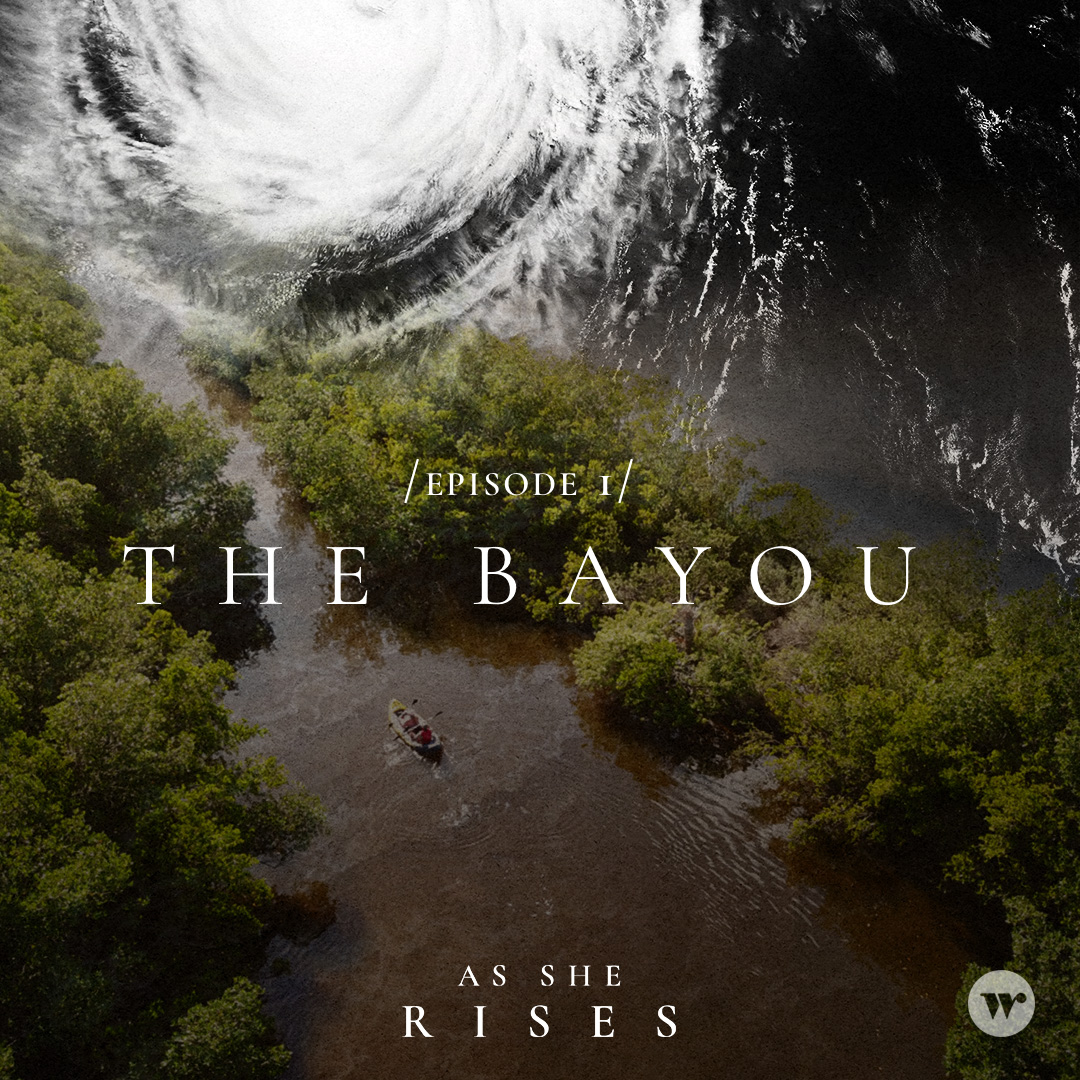 The Bayou | Wonder Media Network